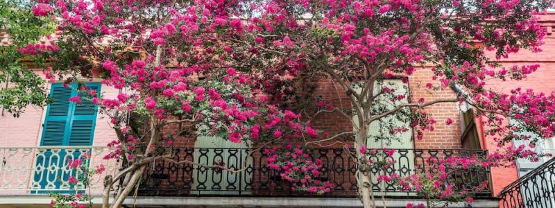 How to Get a Commercial Short-Term Rental Permit in New Orleans