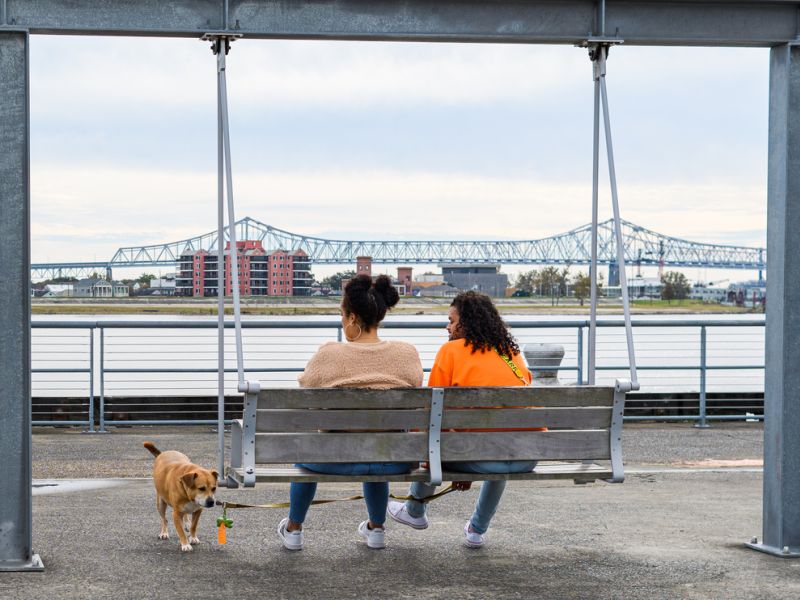 wp-content/uploads/pet-friendly-trip-to-new-orleans-the-ultimate-guide.jpg