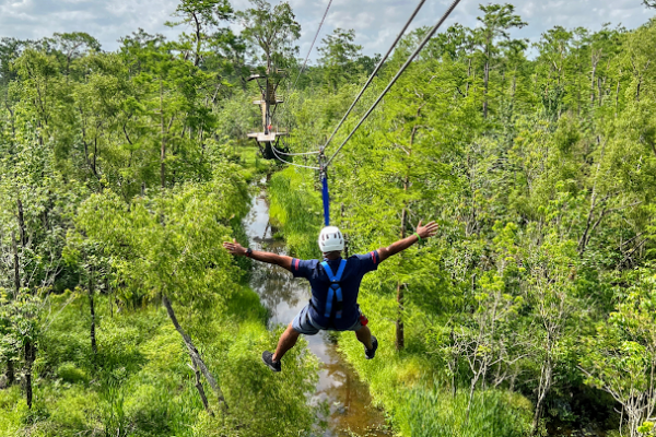 Zip NOLA!