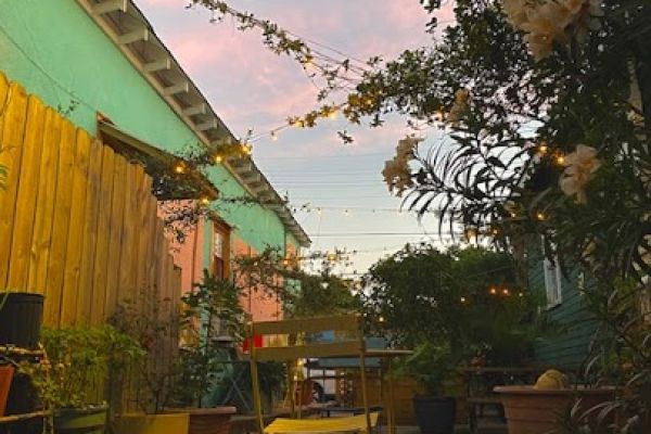 Sneaky Pickle Nola