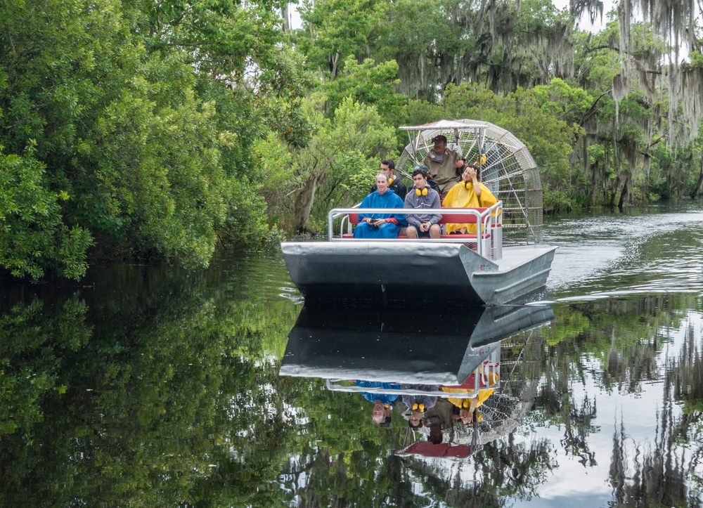 Take An Airboat Swamp Tour