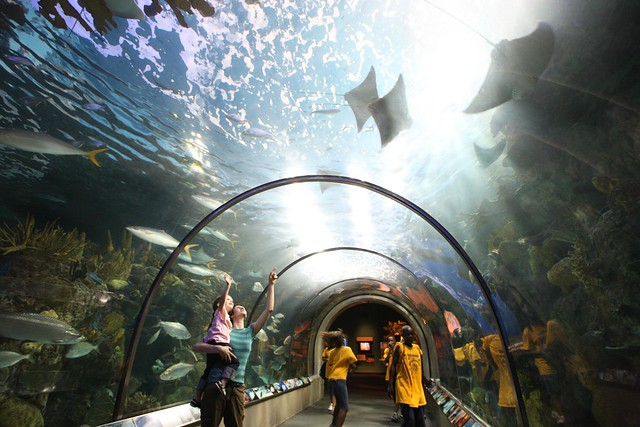 About the Audubon Aquarium of the Americas
