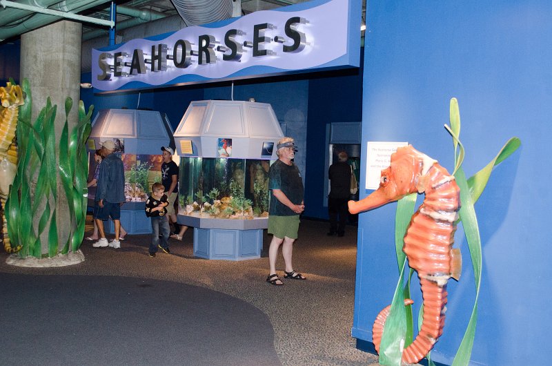 Explore a Variety of International Species