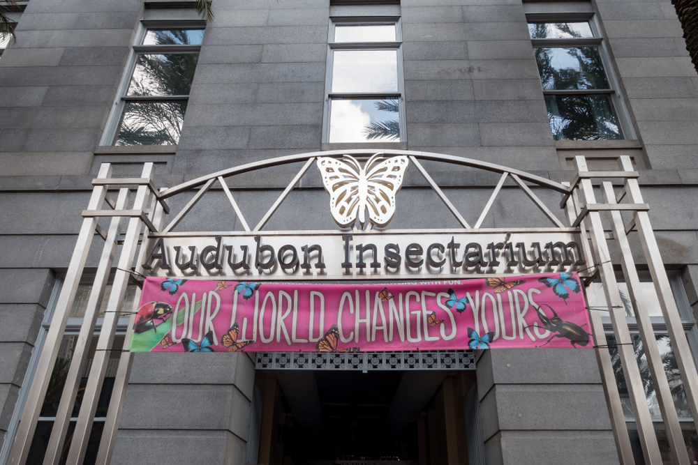 Visit the Audubon Insectarium