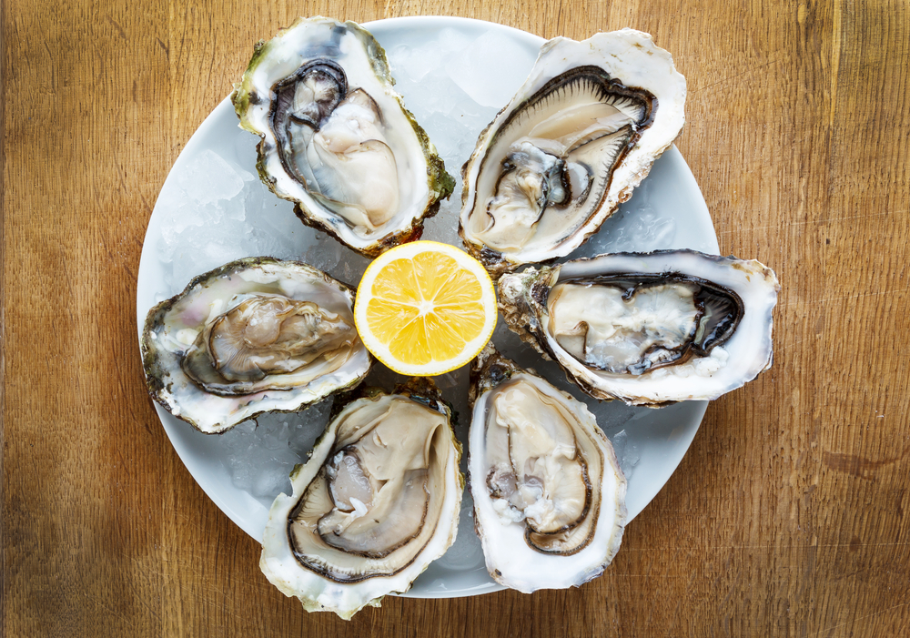 Fresh Oysters