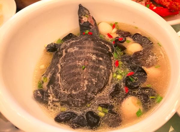 Turtle Soup