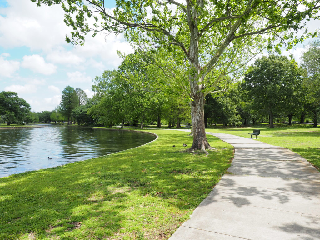 Lafreniere Park